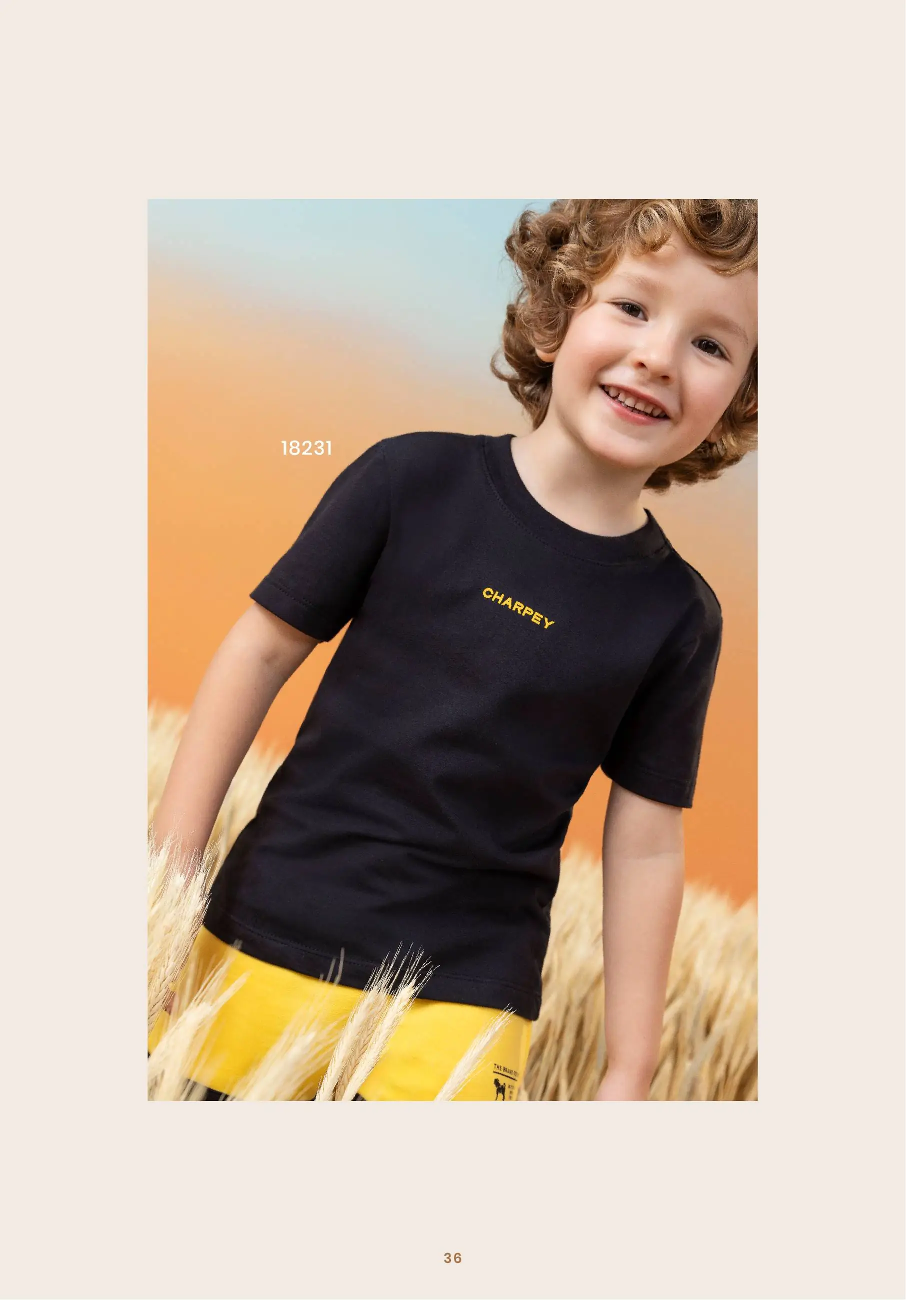 Conjunto Infantil Moletom Cinza Mescla Tigre e Calça